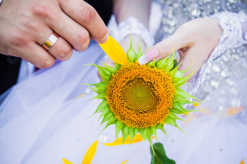 bride and groom holding hands