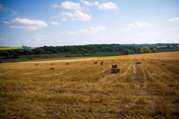 Obraz premium landscape with bales