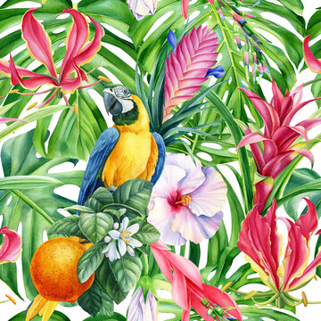 Parrot macaw, birds and flowers, watercolor illustration. Tropical seamless pattern. Floral background, digital paper