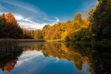 jesień, jesienią, jezioro, woda, krajobraz, drzewo, rzeka, drzewa, bory, niebo, zółty, blękit,...