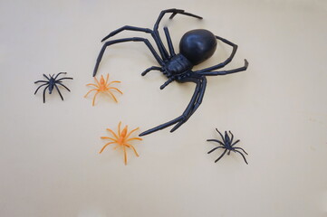 Large Black Widow Spider with Two Tiny Black Spiders and Two Tiny Orange Spiders on Gold Background