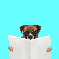 boxer dog reading the newspaper and wearing eyeglasses
