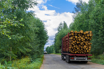 Forestry work: removal of tree trunks. Removal of wood for processing. Industrial logging for joinery and furniture manufacturing. Ecology and deforestation