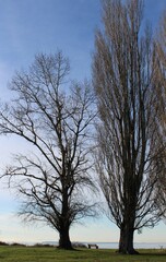 Late fall landscape with a bay view at Marine Park
