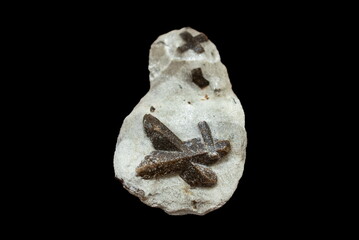 Photo of Staurolite isolated on black background 