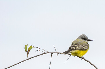 Autumn on Texas Gulf Coast, beach, sand, sea, nature, summer
