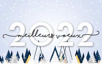2022 - Bonne année - happy new year - coeur - obrazy, fototapety, plakaty