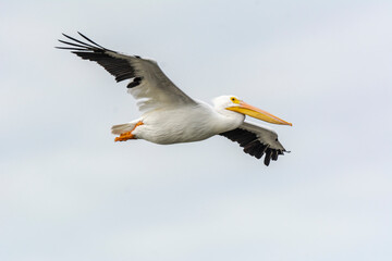 Autumn on Texas Gulf Coast, beach, sand, sea, nature, summer