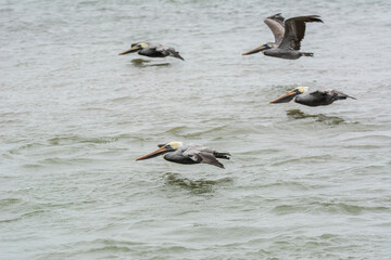 Autumn on Texas Gulf Coast, beach, sand, sea, nature, summer