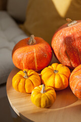 Orange and yellow pumpkins and gourds