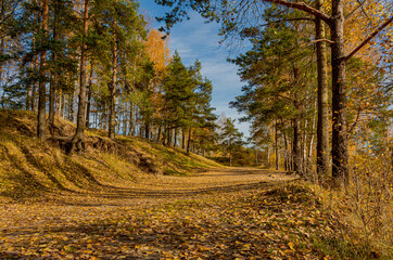 Obraz premium Bright sunny autumn day by the lake.