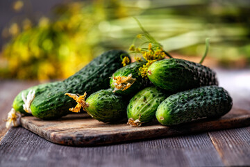horseradish, dill, cucumbers for cucumber on a wooden table