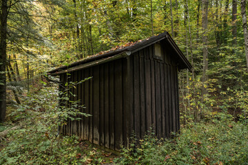 Three Quarter View of Small Barn In Forest