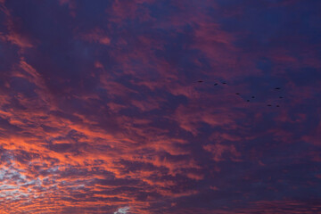 beautiful colorful pink, blue and orange sky at sunset