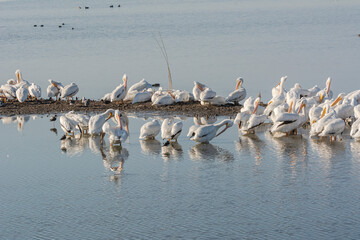 Autumn in Texas Gulf Coast - beach, sand, sea