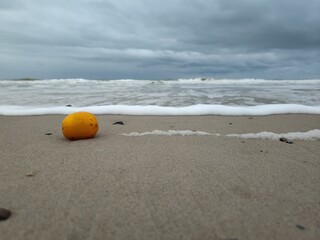 Angeschwemmte Orange am dänischen Nordseestrand