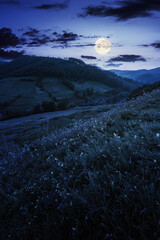 countryside valley scenery at night. beautiful carpathian nature landscape with grassy hills,...