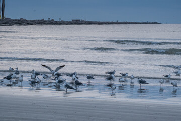 Autumn in Texas Gulf Coast - beach, sand, sea