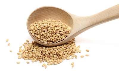 Wheat grains pile with wooden spoon isolated on white background