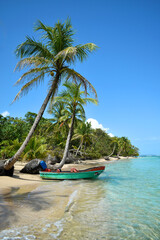 Wild tropical beach with coconut trees and other vegetation, white sand beach with boat, Caribbean Sea, Panama - obrazy, fototapety, plakaty