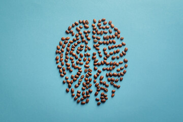 Human brain in the form of coffee beans on a blue background.