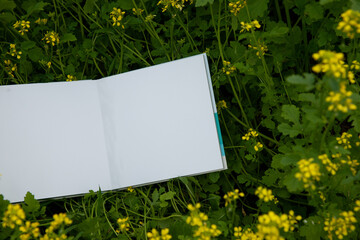 photobook in nature magazine