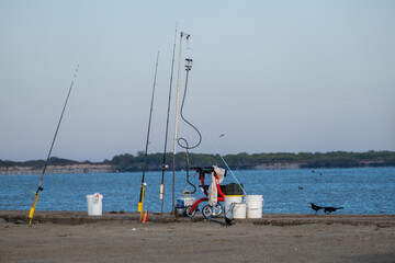 Fototapeta premium Autumn in Texas Gulf Coast - beach, sand, sea