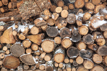Cut tree trunks stacked full of snow