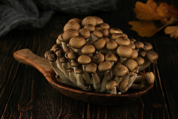 Fresh brown Shimeji mushroom on a wooden background.