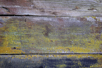 Old planks hammered with nails background. Part of the wall of a rustic building.