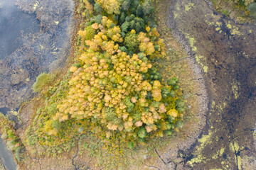 Aerial top down view of colorful yellow and green autumn forest on small island