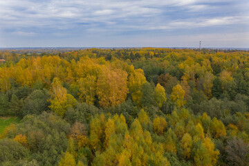 Fototapeta premium Aerial landscape of colorful yellow and green autumn forest