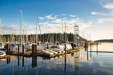 Naklejka na ściany i meble A view of Townside Marina, oceanside, Nanaimo, Vancouver Island, British Colombia, Canada on an autumn day at sunrise time.