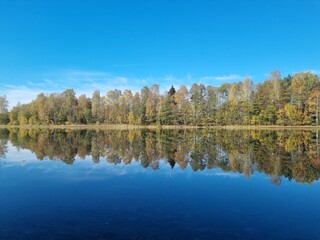 Lake in autumn