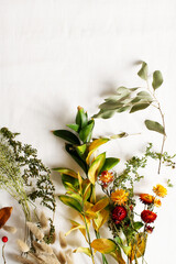 Autumn wildflowes boho composition with dry plants, grass, berry