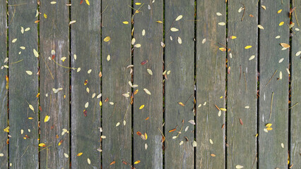 Holzsteg mit farbigen herbstlichen Blättern