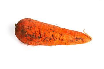 Dirty carrots isolated on a white background.