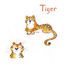 Cute illustration with tigers on a white background.