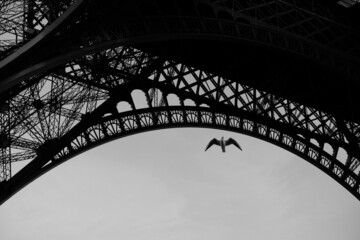 Eiffel tower structure black and white with birds in the sky.