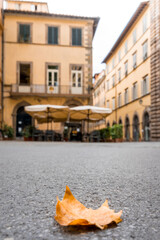 Platz in Lucca