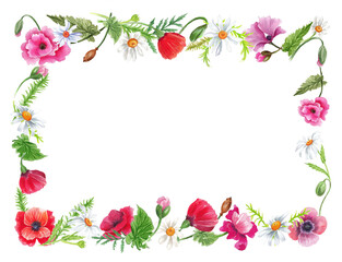 Watercolor frame with wild flower White background.