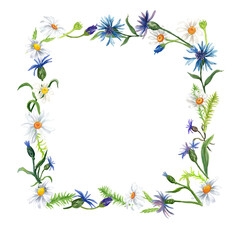Watercolor frame with wild flower White background.