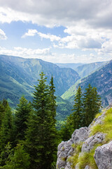 Fototapeta na wymiar Mountain landscape of Montenegro: spruce trees grow on a mountain slope above the Tara river canyon