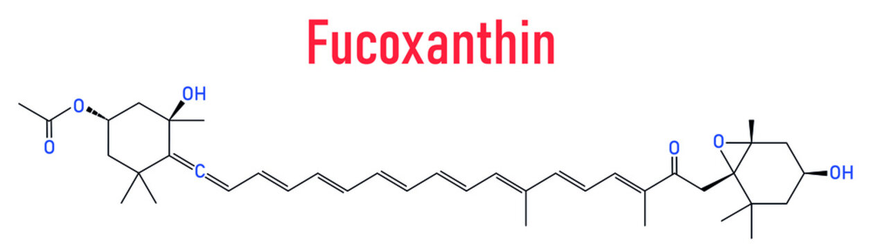 Fucoxanthin Brown Algae Pigment Molecule. Ingredient Of Some Dietary Supplements. Skeletal Formula.