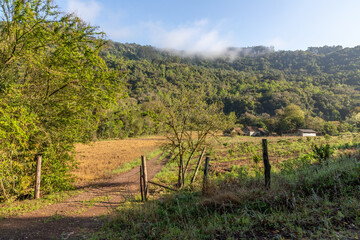 Fototapeta na wymiar Farm field with fog and forest on the mountains