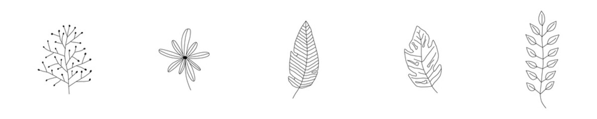 Conjunto de icono de plantas. Boceto de plantas. Concepto de naturaleza y decoraciones. Ilustración vectorial, estilo línea negro