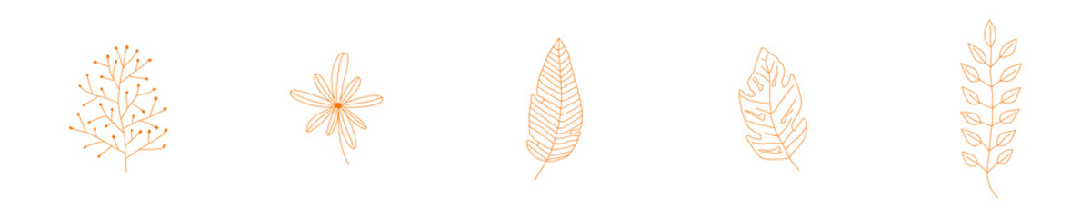 Conjunto de icono de plantas. Boceto de plantas. Concepto de naturaleza y decoraciones. Ilustración vectorial, estilo línea naranja