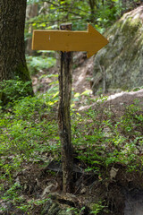 A wooden arrow on a stick indicates the direction of a path in a forest