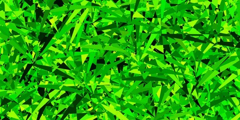 Obraz premium Light green, yellow vector backdrop with triangles, lines.