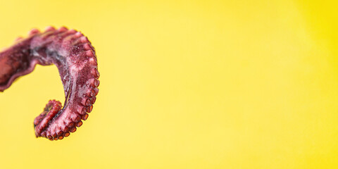 octopus claw fresh seafood sea ​​reptiles portion meal snack on the table copy space food background rustic 